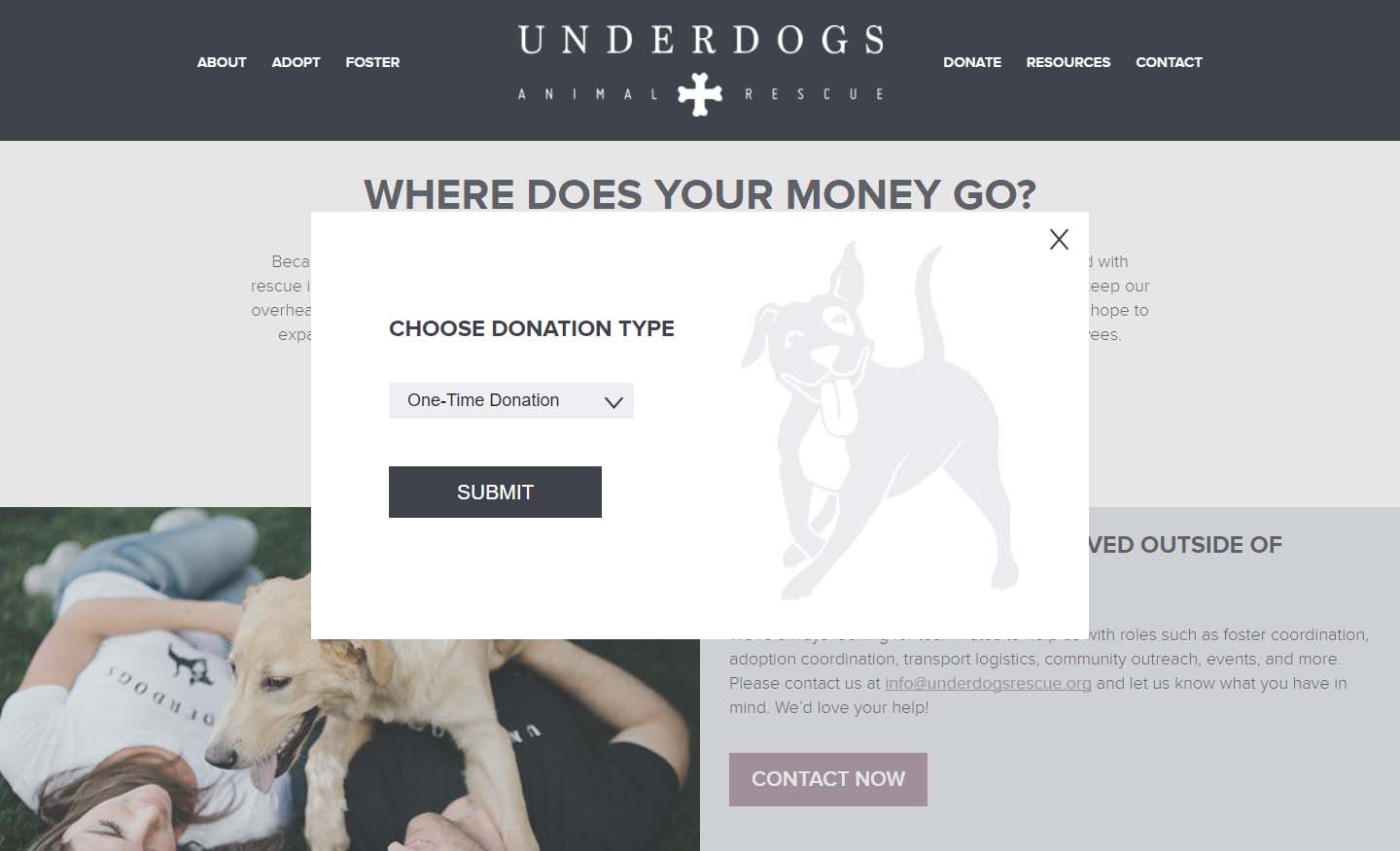 Custom Donation Feature