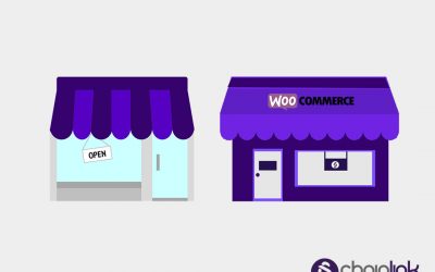 The Ultimate WooCommerce Guide for Beginners