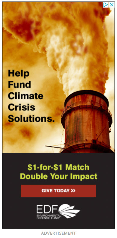 Google Display Ad Example Environmental Defense Fund